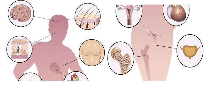 Efectos secundarios de progesterona y contraindicaciones